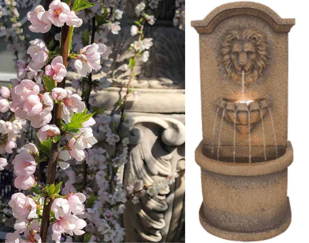 Blossoms, urn and fountain
