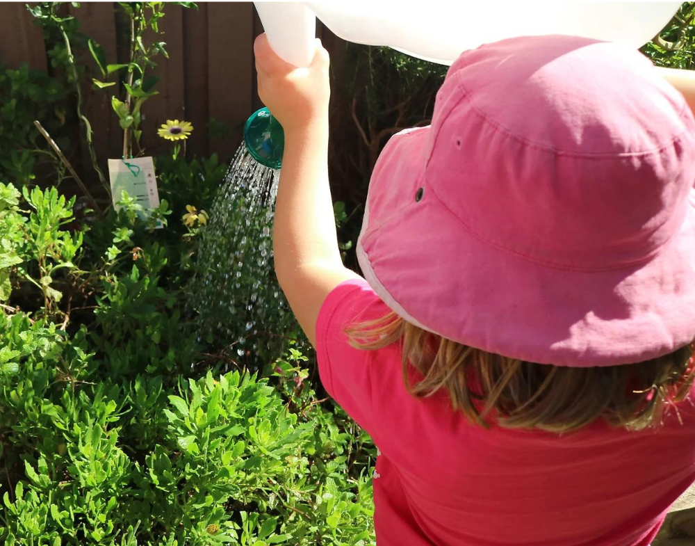 child watering garden