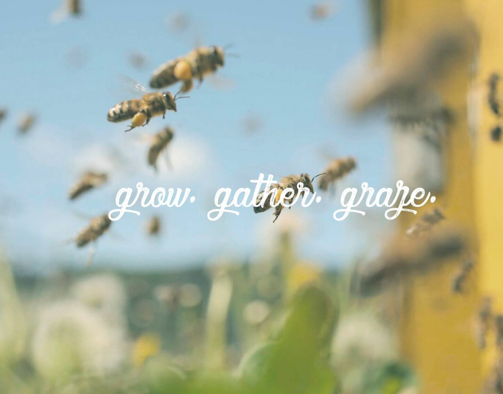 Grow Gather Graze with bees