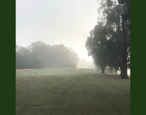 Early misty morning on Avondale golf course