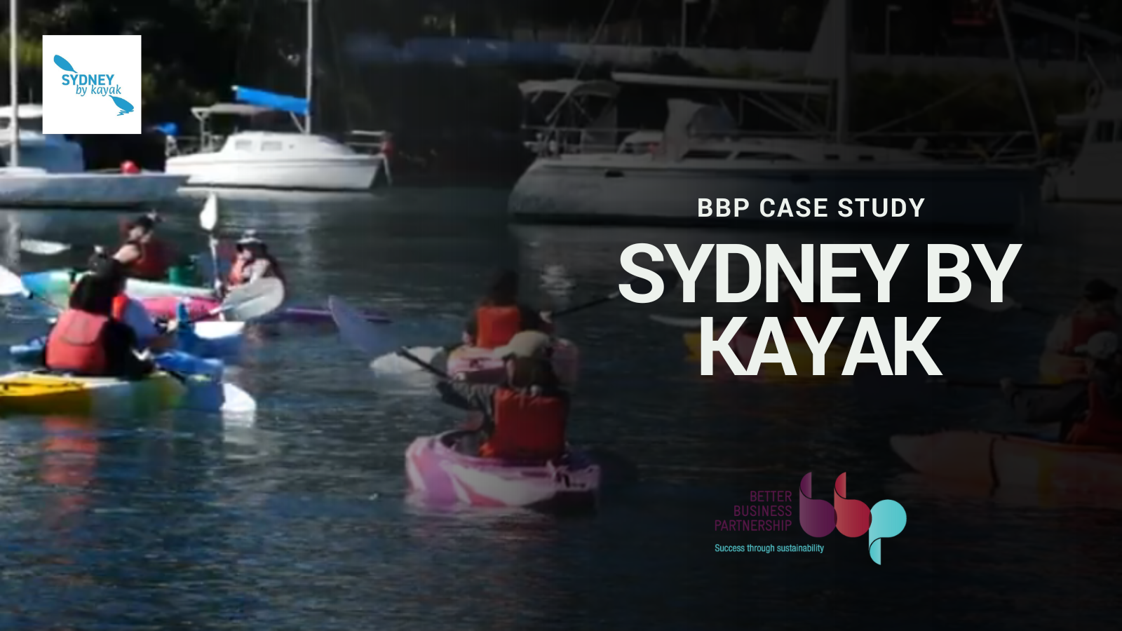 kayakers on Sydney Harbour